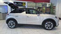 DS AUTOMOBILES DS 3 CROSSBACK