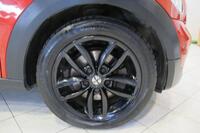 MINI PACEMAN