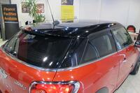 MINI PACEMAN
