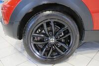 MINI PACEMAN