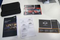 MINI PACEMAN