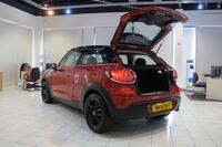 MINI PACEMAN