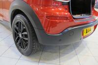 MINI PACEMAN